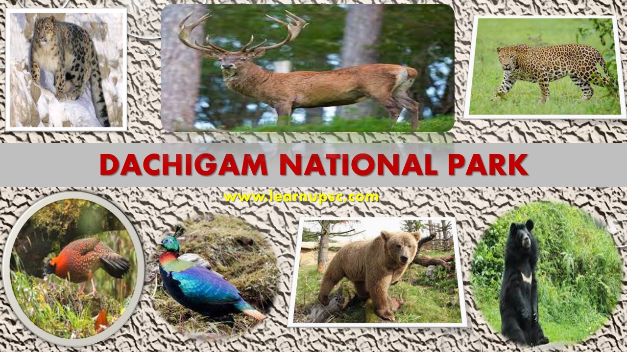 Dachigam Wildlife Tour